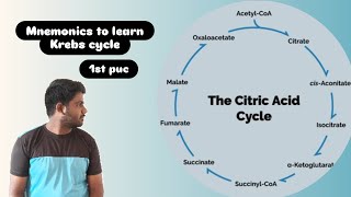 Mnemonics to learn KREB CYCLE in Kannada  TCA CYCLE  CITRIC ACID CYCLE Trick credits  VIPIN SIR [upl. by Aihseyt]