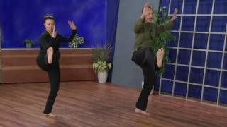 Tai Chi for Beginners 04  quotPlace of Powerquot [upl. by Ku]