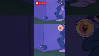 Tom amp Jerry fun 10 shorts trending tomandjerry pommapadam cartoon funny kidszoneadventure [upl. by Occir]