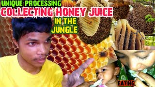 ORGANIC HONEY 🍯 COLLATING IN THE JUNGLEVillage karbi anglong Assam vlogger [upl. by Castro233]