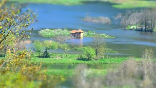 Bleistätter Moor Naturjuwel am Ossiacher See [upl. by Ancelin430]