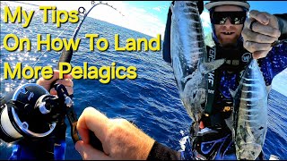 Pelagics in Perth A couple of Tips to Help Land more Hook Ups while trawling Ep58 BlissNiques [upl. by Narmi594]