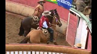 Rodeo Campeones de Chile [upl. by Townsend457]