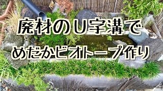 廃材の【U字溝】でメダカのビオトープ作ってみた。 [upl. by Stoll]