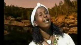 ethiopian song [upl. by Esir]