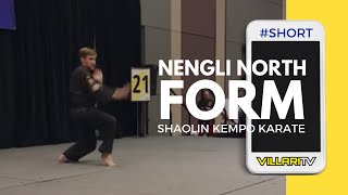 Shaolin Kempo Form  Nengli North short [upl. by Kentigera]