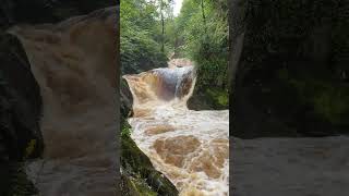 Ingleton waterfalls  Yorkshire Dales  England [upl. by Maximo]