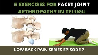 5 Exercises for Facet Joint Arthropathy in Telugu  Facet joint pain exercises [upl. by Sainana]