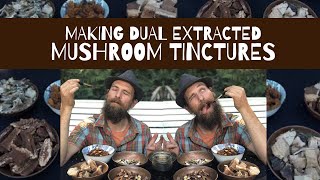 Making Dual Extracted Mushroom Tinctures [upl. by Southworth232]