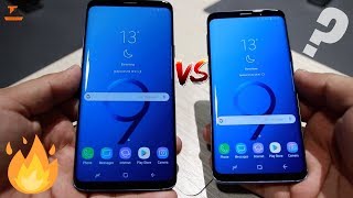 Samsung Galaxy S9 Vs Galaxy S9  The Main Differences [upl. by Llerref]