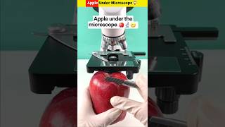 Apple Under Microscope😱 shorts youtubeshorts shortvideos [upl. by Alodie499]