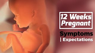 12 Weeks Pregnant  Pregnancy Week By Week Symptoms  The Voice Of Woman [upl. by Shaffer]