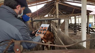 Jornada de Capacitación variables de manejo para sistemas ganaderos criadores sobre campo natural [upl. by Eves]