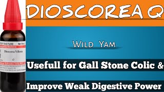 DIOSCOREA VILLOSA  Uses amp Benefits in Hindi  Gall Stone Pain Homoeopathicvines [upl. by Si]