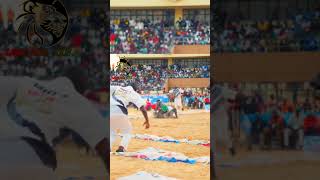 Thiatou yarakh vs Gamou Gueye shorts abonnés vous 🇸🇳 [upl. by Stortz]