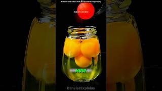 🔥 Crazy Experiments You Must See shorts science [upl. by Ditmore]