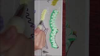 How to Use Ruffle Piping Tip 86 and 158 Icing Nozzle Piping Techniques Cake Tutorial [upl. by Faro]