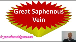 32 Great saphenous vein [upl. by Llerdnek60]