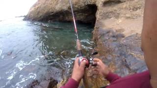 Shore Fishing in Palos Verdes  Pescado en Palos Verdes 10302016 [upl. by Yelrebmik]