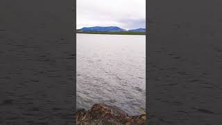 Lake Laberge in Yukon😍whitehorse klondike nature jezioro góry natura🌿camping outdoor shorts [upl. by Annawal]