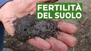 Fertilità del SUOLO il metodo dellacqua ossigenata  ORTO [upl. by Kcirb]