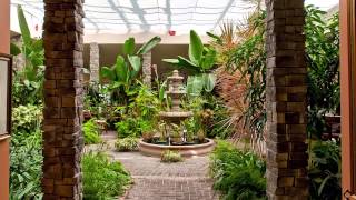 Garden Atrium Short Version [upl. by Jamal856]