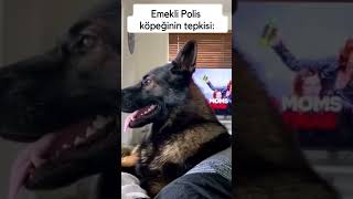 Emekli köpek 🐶🐶 [upl. by Vasti769]