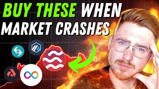 BEST ALTCOINS TO BUY NOW After the Crypto Crash [upl. by Modesty]