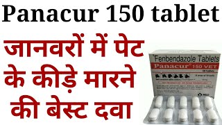 Panacur 150 tablet ke kya fayde haifenbendazole bolus uses in hindiDeworming karne ki tablet [upl. by Ordway]