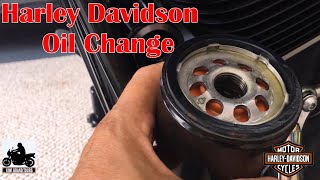 HARLEY DAVIDSON STREET BOB OIL amp FILTER CHANGE [upl. by Carlyle]