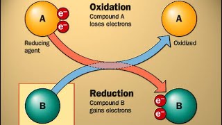 Oxidation reduction reaction Middle3 [upl. by Oicul]