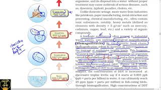 Part 4 Biomagnification and EutrophicationNcert class 12th biology [upl. by Onavlis958]