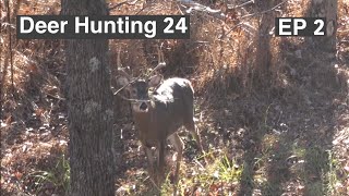 Did I choose the right stand will it pay off hunting deerhunting bowhunting [upl. by Salena]