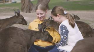 Visit Ballarat Ballarat Wildlife Park [upl. by Pizor]