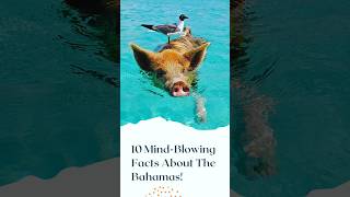 Breaking Down The Facts About The Bahamas [upl. by Krawczyk]