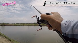 Review  RYOKO SIERRA S101  RYOKO Touch 681 [upl. by Cresa827]