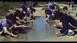 Secrets of the Saltmarsh Eyre Peninsula [upl. by Nenney]