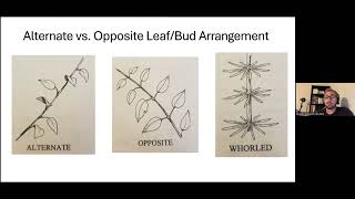 Introduction to Woody Plant Identification  Bradley Simpson [upl. by Weisbrodt]