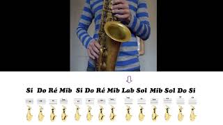 Tuto Saxophone  La Panthère Rose  Henry Mancini  Mélodies simplifiées à vous de jouer [upl. by Hanonew43]