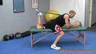 Best Hip Flexor and Quad Stretches [upl. by Carleton]