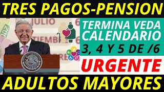 Nuevas Fechas de PAGO 💰 Pensión Bienestar Adultos Mayores y Personas con Discapacidad 2024 [upl. by Zins424]