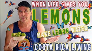 Costa Rica Life gives you Lemons make Lemon Water [upl. by Ariom846]