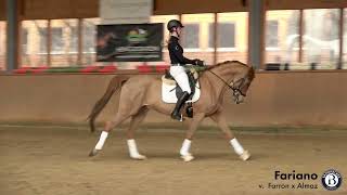 Fariano  Wallach  2015 geboren Farron x Almaz [upl. by Annirok15]