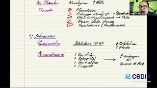 Farmacología Grupo 1  Quinolonas [upl. by Whang758]