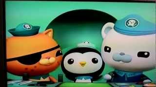 The Octonauts TV Show Theme Song  Octonaut song Octonauts song [upl. by Nellaf]