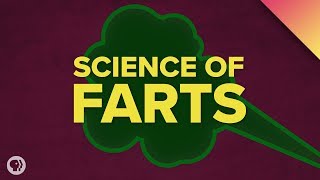 The Science of Farts [upl. by Lewison]