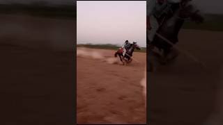 Neza Bazi  horse dance  chal Baz horse  nezabazihorse horseriding horse [upl. by Laurens]