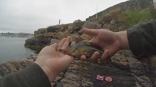 LRF UK Light Rock Fishing Devon [upl. by Volkan]