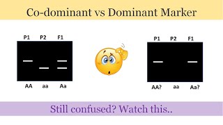 Dominant and Codominant Marker Clear the difference between the two [upl. by Yatnuahc]