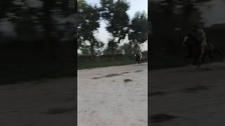 Neza Bazi  ghora dance  chal Baz horse  horse speed [upl. by Brittnee]